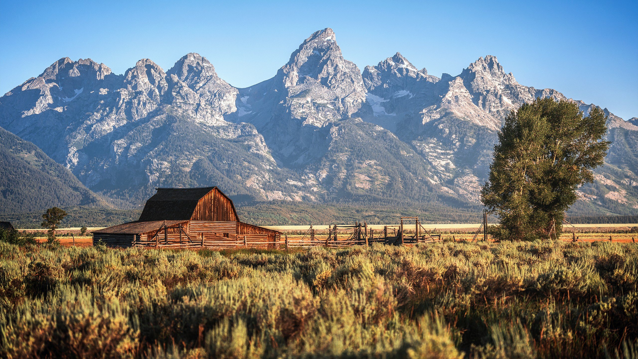 The 'Yellowstone' effect: Why ranch prices have more than doubled in 10 years