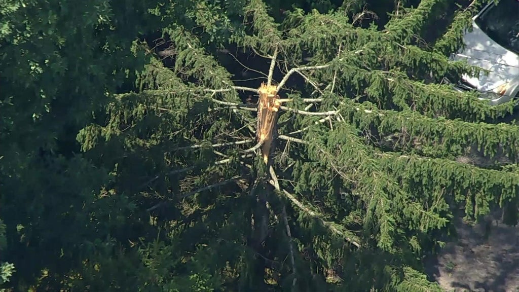 4 tornadoes touched down in New Jersey and New York, National Weather Service says