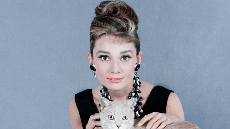 Audrey Hepburn in a photoshoot with a cat