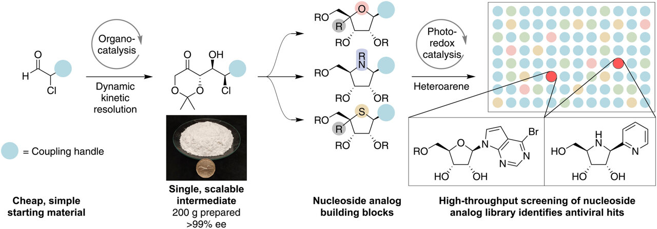 Light-driven chemistry method could create antiviral compound libraries 10 to 100 times larger within weeks