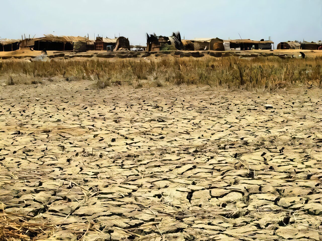 Why river management is so crucial to protecting one of world's most important wetlands