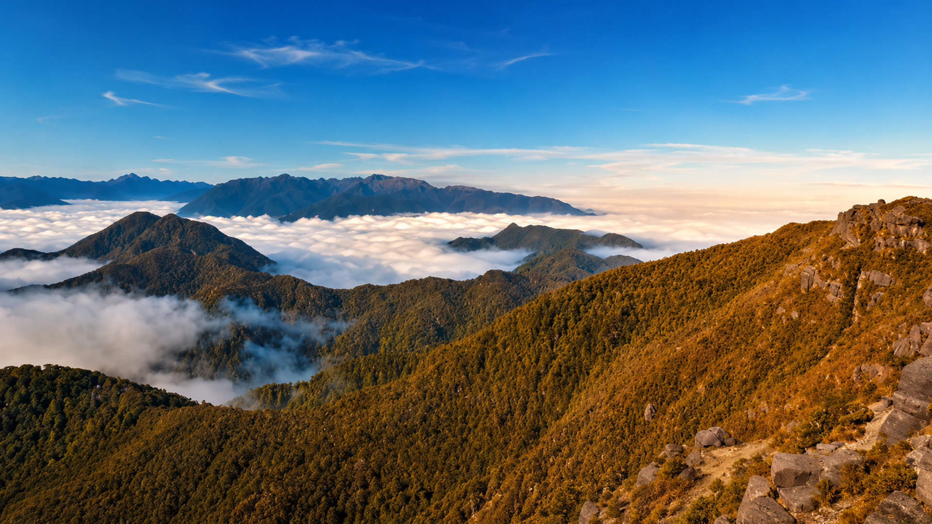 Mount Rochfort hidden among misty mountains and forests