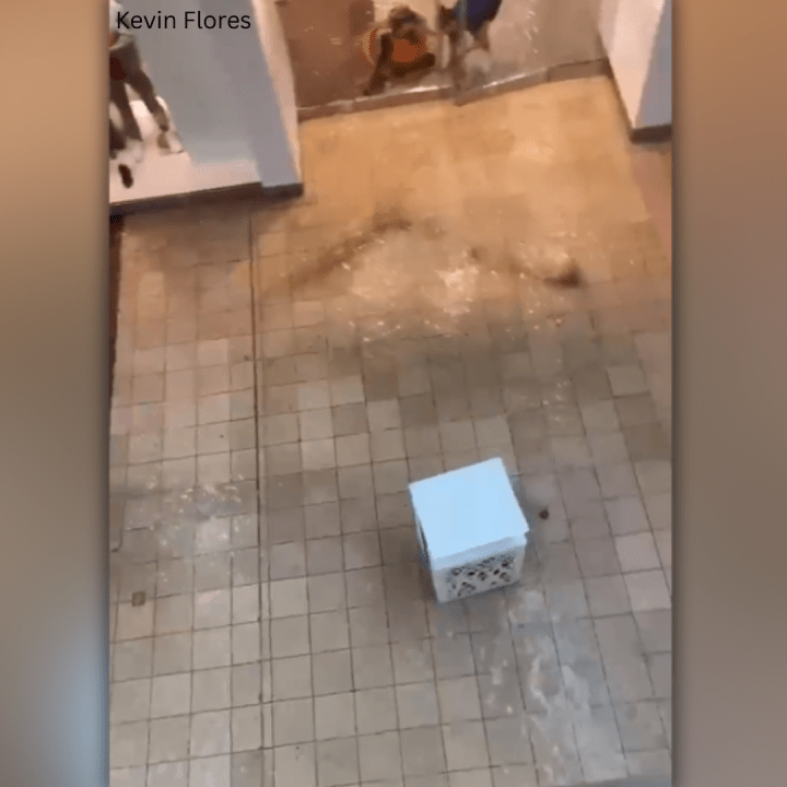 VIDEO: Connecticut Post Mall in Milford experiences flooding, backed storm drains
