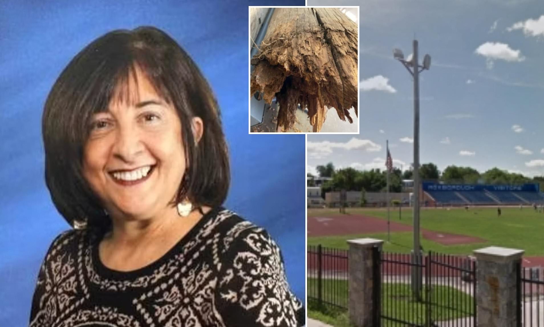 Retired teacher died in freak wooden pole accident - and school district was negligent, family says
