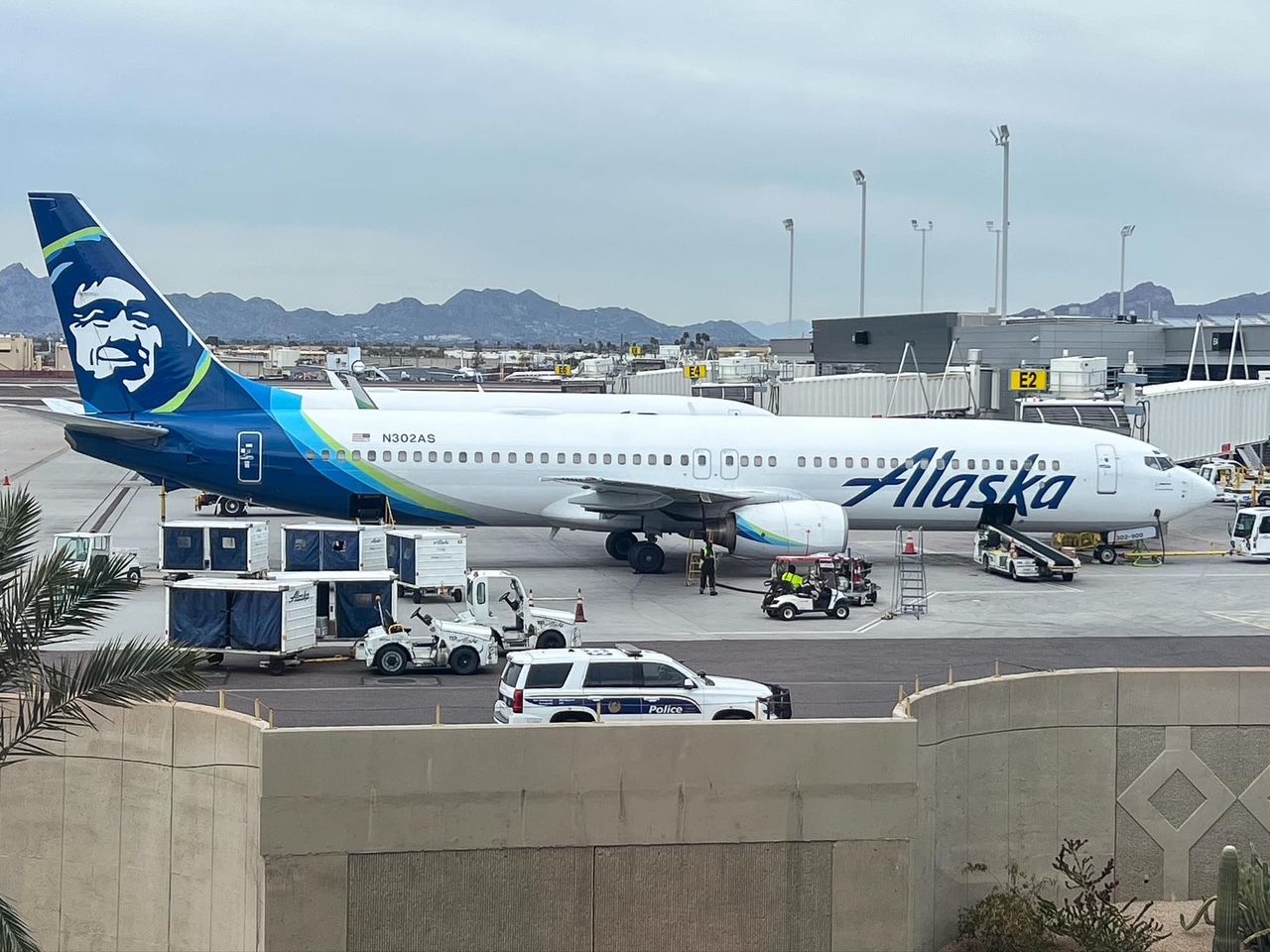 Fuel hit sets Alaska back in Q2