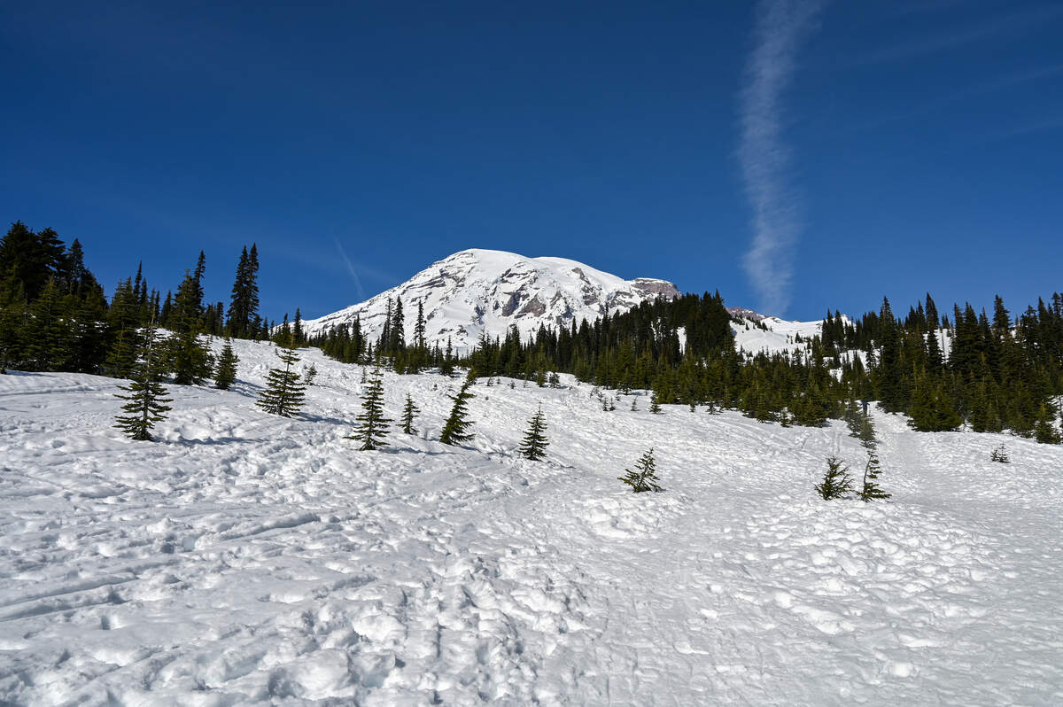 Mount Rainier NP releases details about death, injuries during rockfall incident