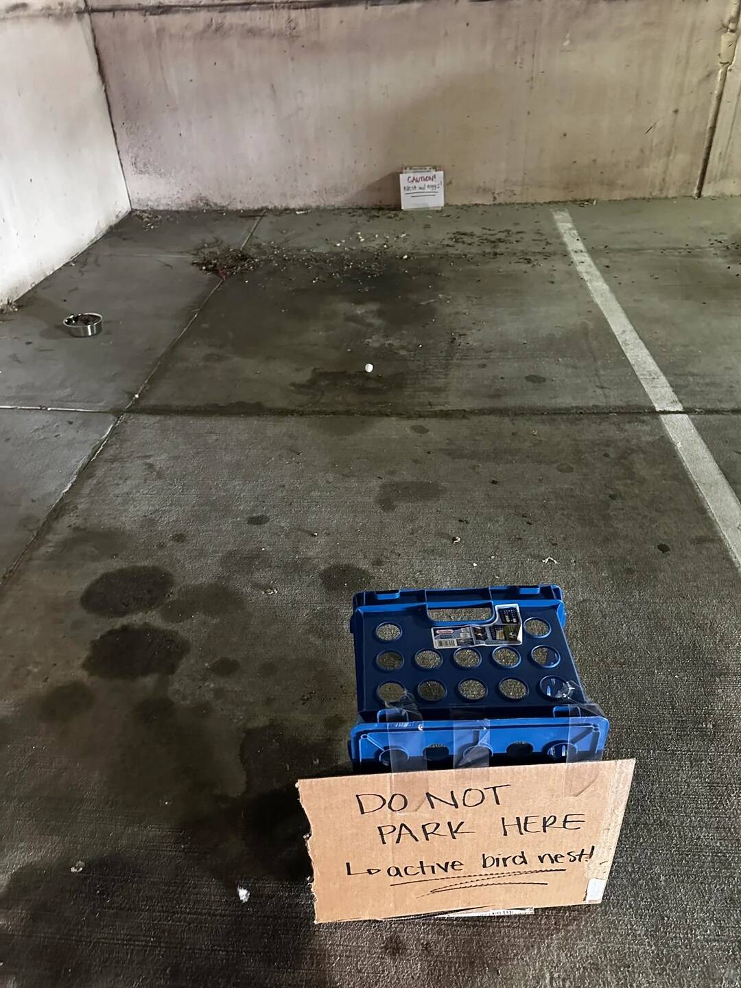 Woman Sees Parking Spot Blocked Off With Signs — Then Learns The Sweet Reason Why