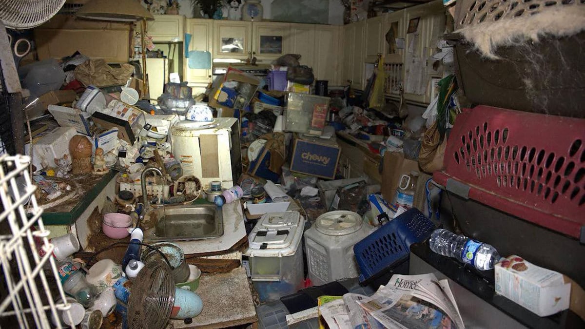 Florida postal worker found hoarding nearly 100 pets in home with no AC, sheriff says