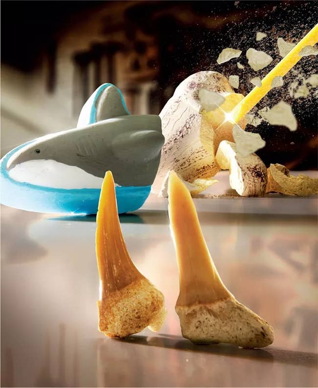 Toy shark with shark tooth fossil kit breaking open rock to reveal contents