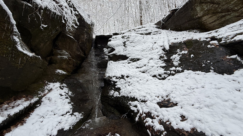 Waterfall in snowy winter scene at Canyon Forest Nature Reserve