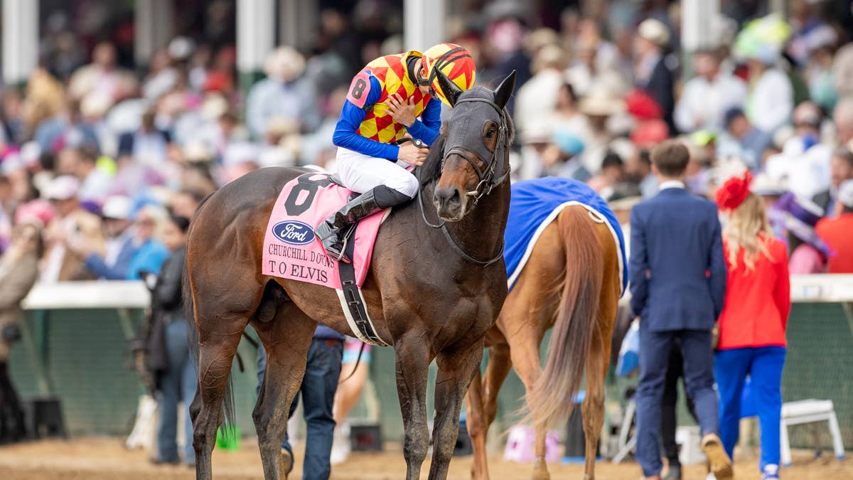 T O Elvis Has Options Ahead Of Breeders’ Cup Sprint Bid