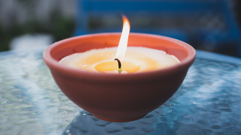 Stop storing your citronella candles outside: Here's why