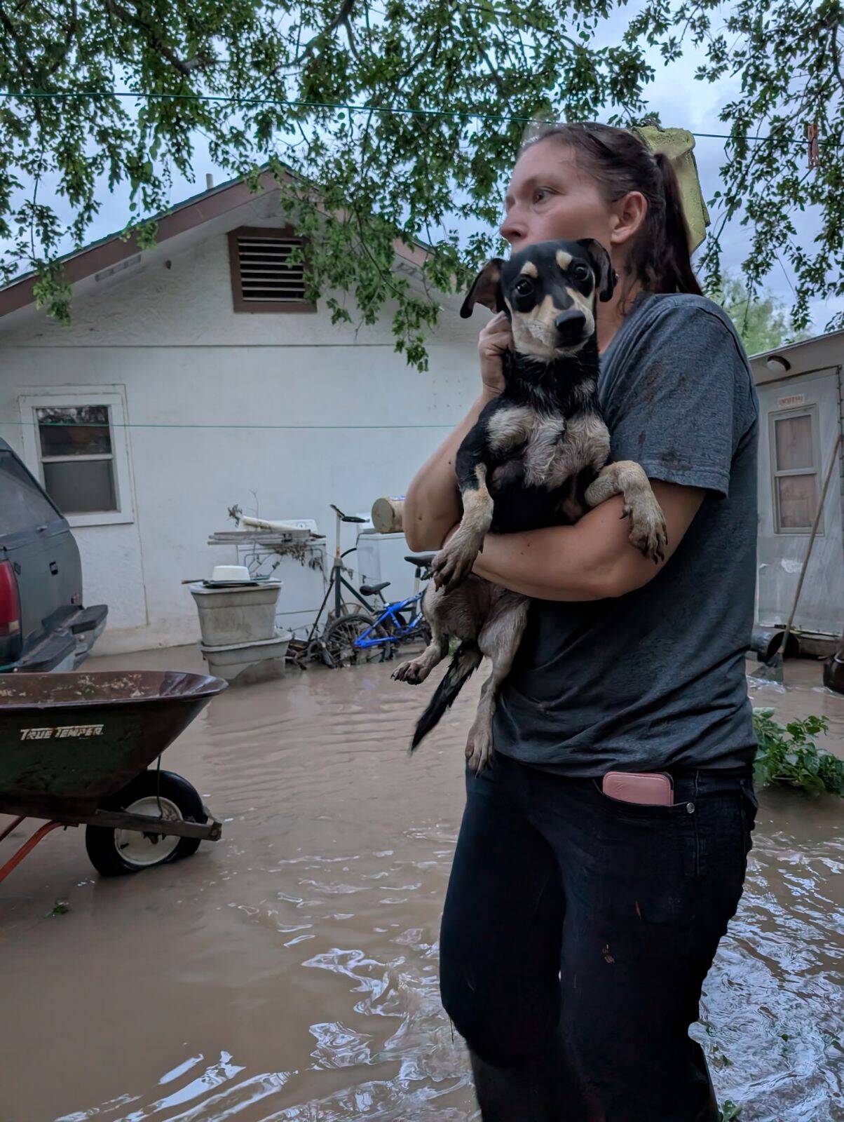 Rescuers Rush To Help During Texas Floods And Find Hundreds Of Animals Stranded