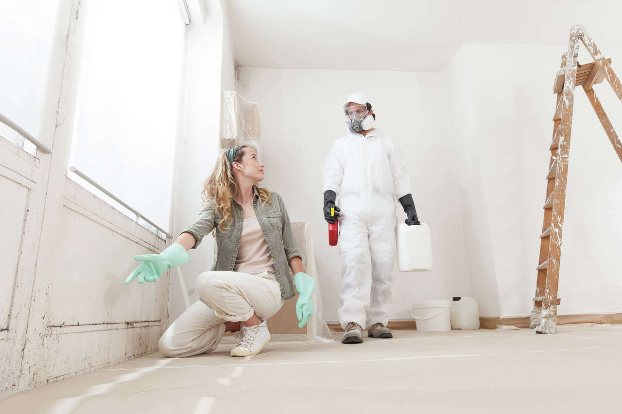 Worried about mold in your house? Here's what to do