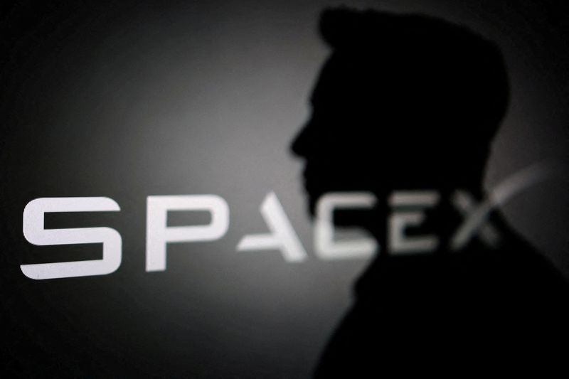 FILE PHOTO: Illustration shows silhouette of Elon Musk and SpaceX logo