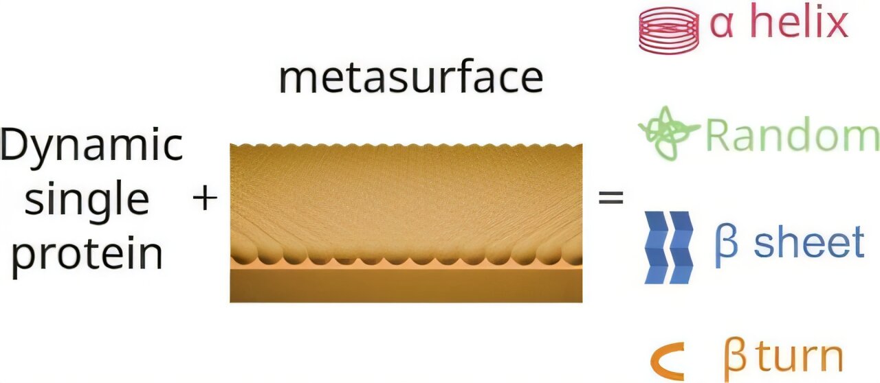 New optical method follows single proteins as they shift shape