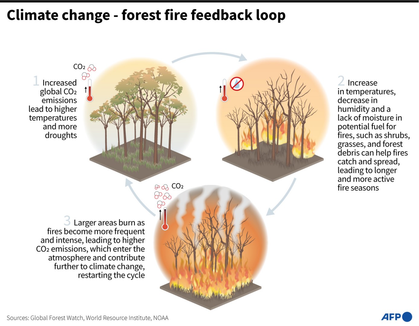 Canadian wildfires supercharged by climate, not directed energy weapons