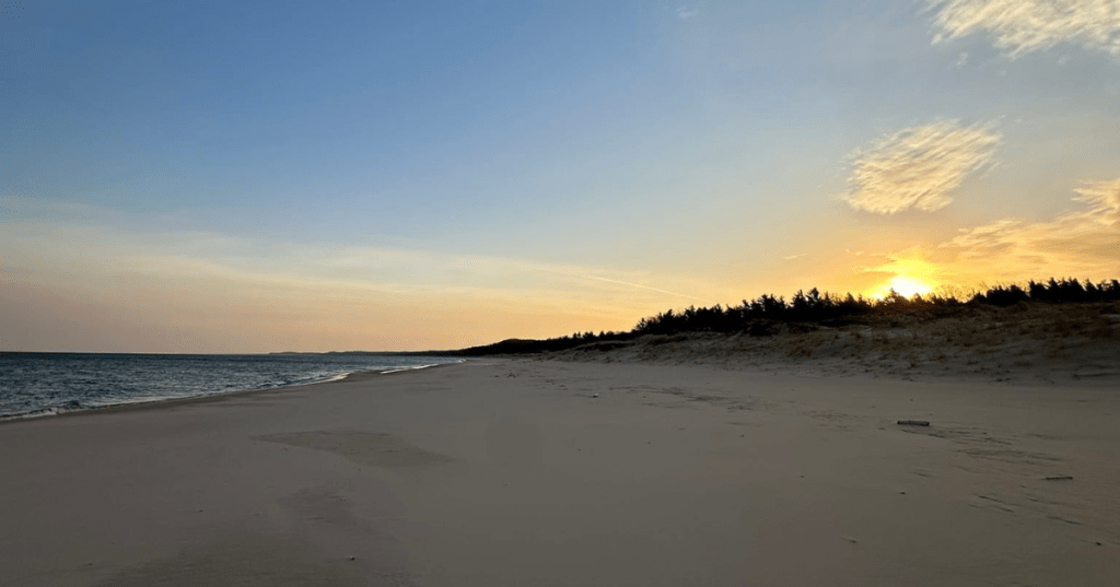 Empty sand beach and treeline at sunset along Lake Michigan in Nordhouse Dunes.