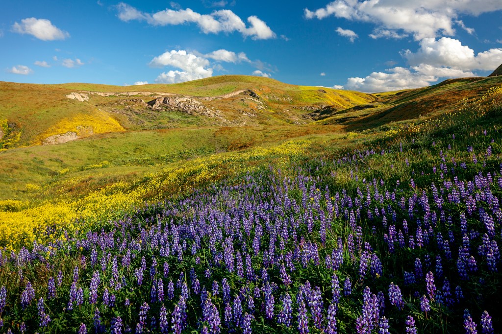 The Carrizo Plain in San Luis Obispo County.