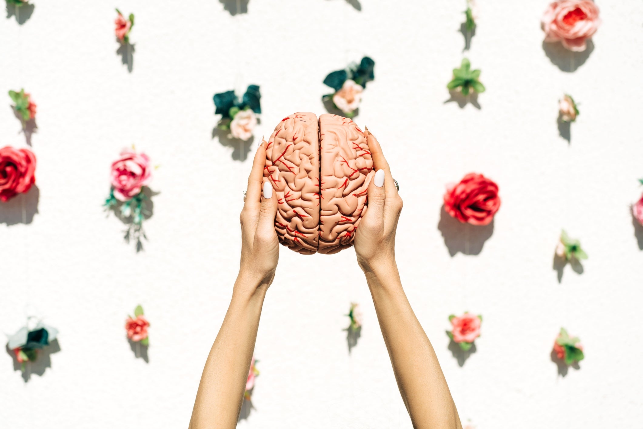 Hands hold a brain model against a wall decorated with flowers