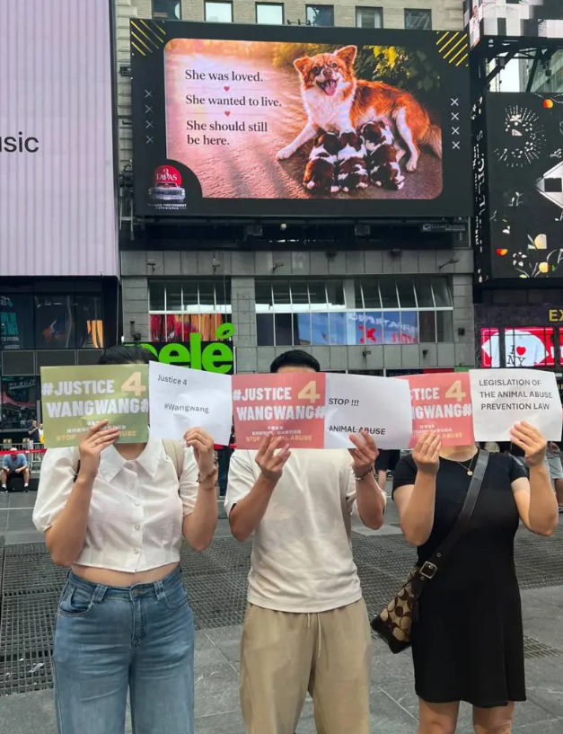 China's animal lovers have taken their fight global, with some putting up billboards in places as far away as New York