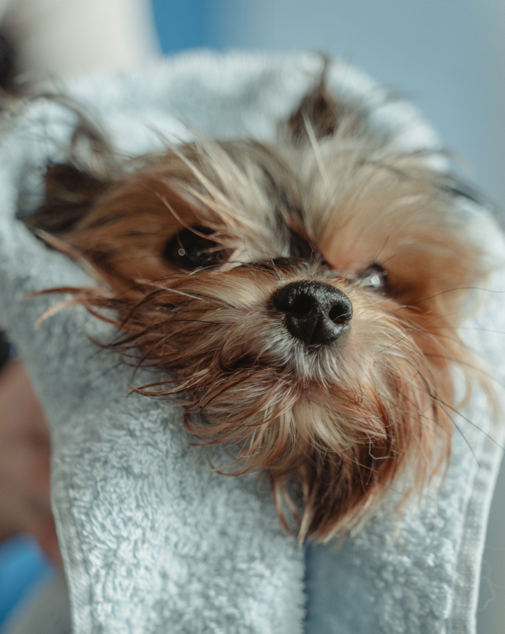 10 family moments that teach us loneliness doesn’t stand a chance against showing up