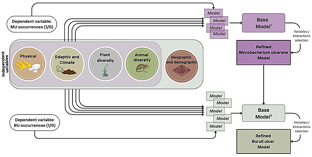 How a pandemic detour helped researchers uncover clues to a mysterious disease