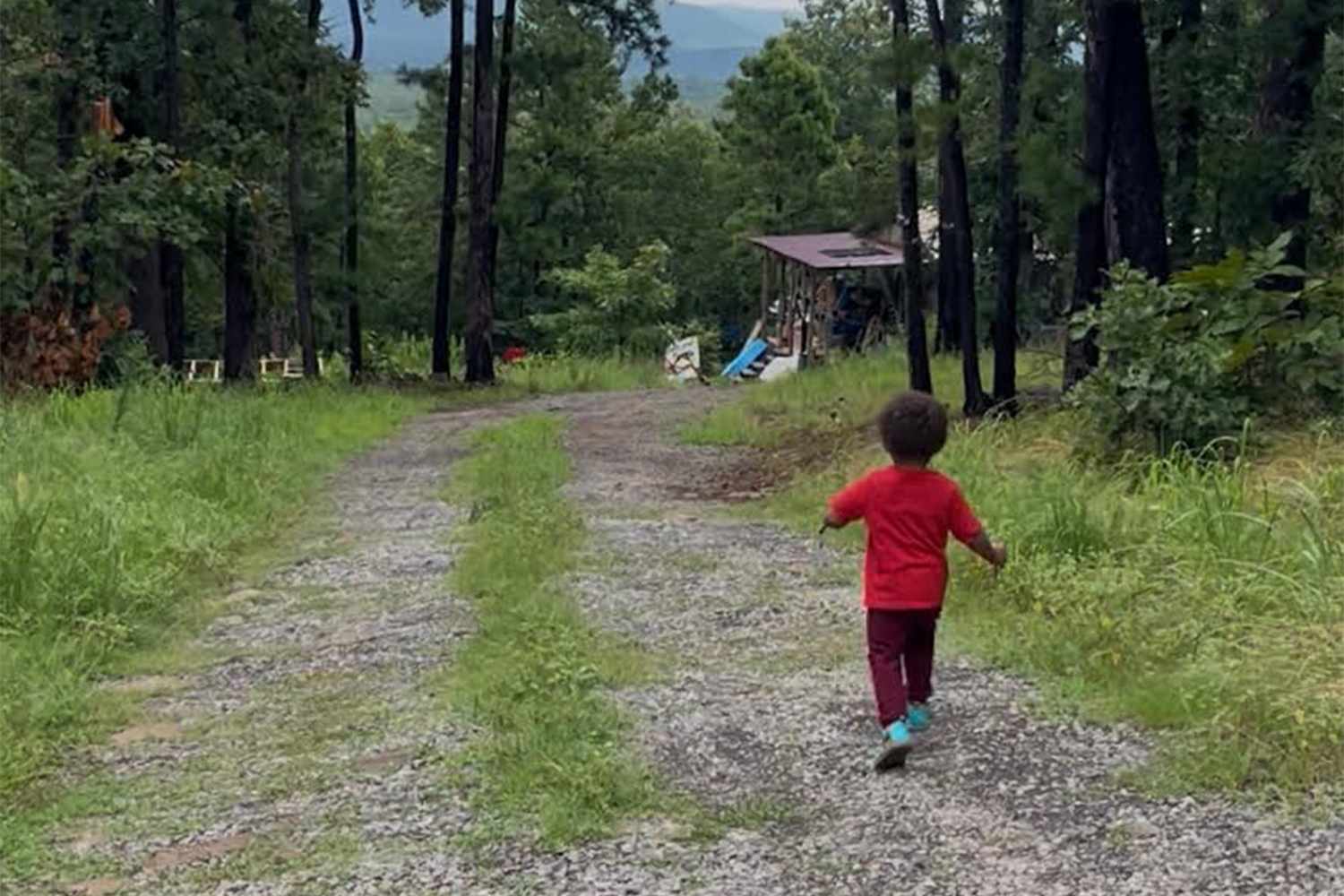 Couple raising son off the grid says his classroom is in the woods, education is based on intuitive play (exclusive)