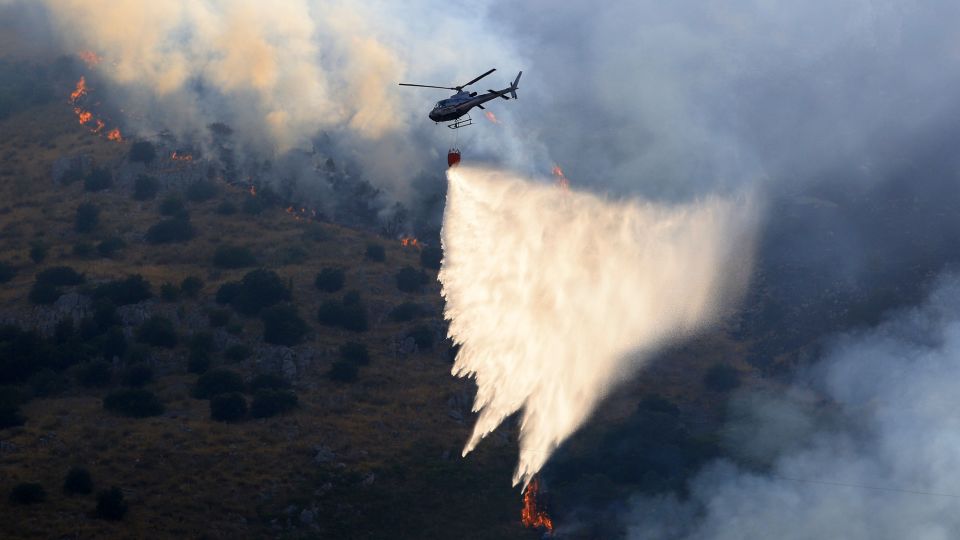 Arsonists tied flaming rags to cats to spark wildfires in southern Italy, officials say
