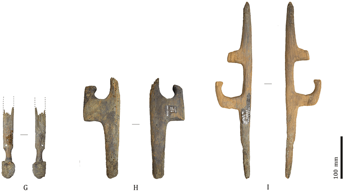These 5,000-year-old spear-throwers are the oldest in the Andes and may have been used to hunt ancient llama ancestors
