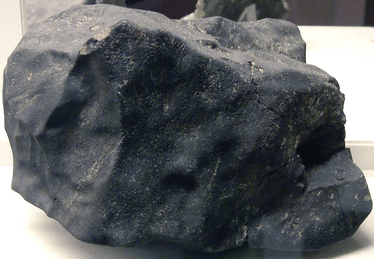 The dinosaurs were killed by an oddball asteroid that might change how we think the extinction unfolded