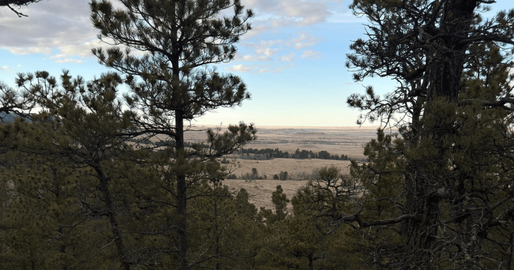 Scenic valley view framed by pine trees at Devil's Den overlook, Nebraska.
