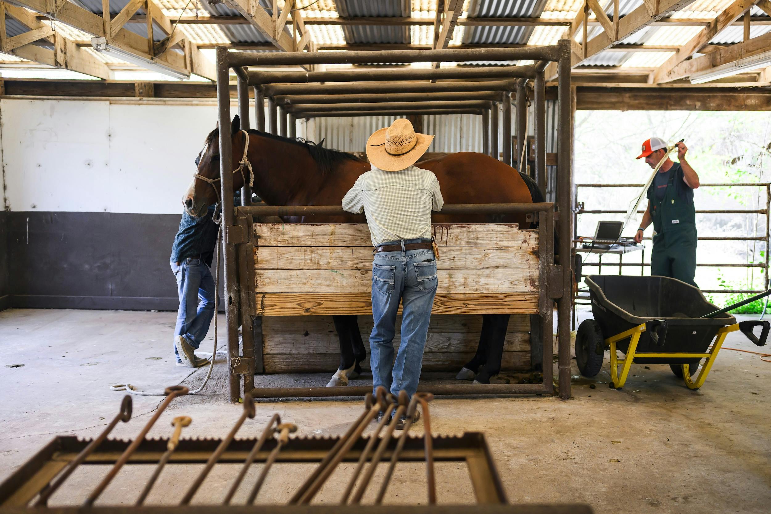 horse stall king ranch