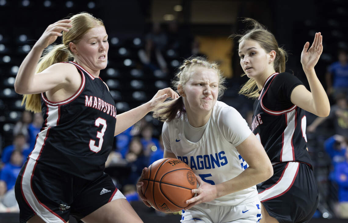 Piper Schroeder helped Halstead finish 27-1 and take third place in 3A girls basketball this season.