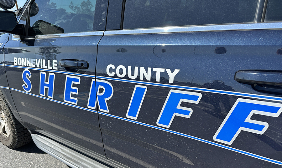 Coroner identifies man who died with dog after truck crashed into tree