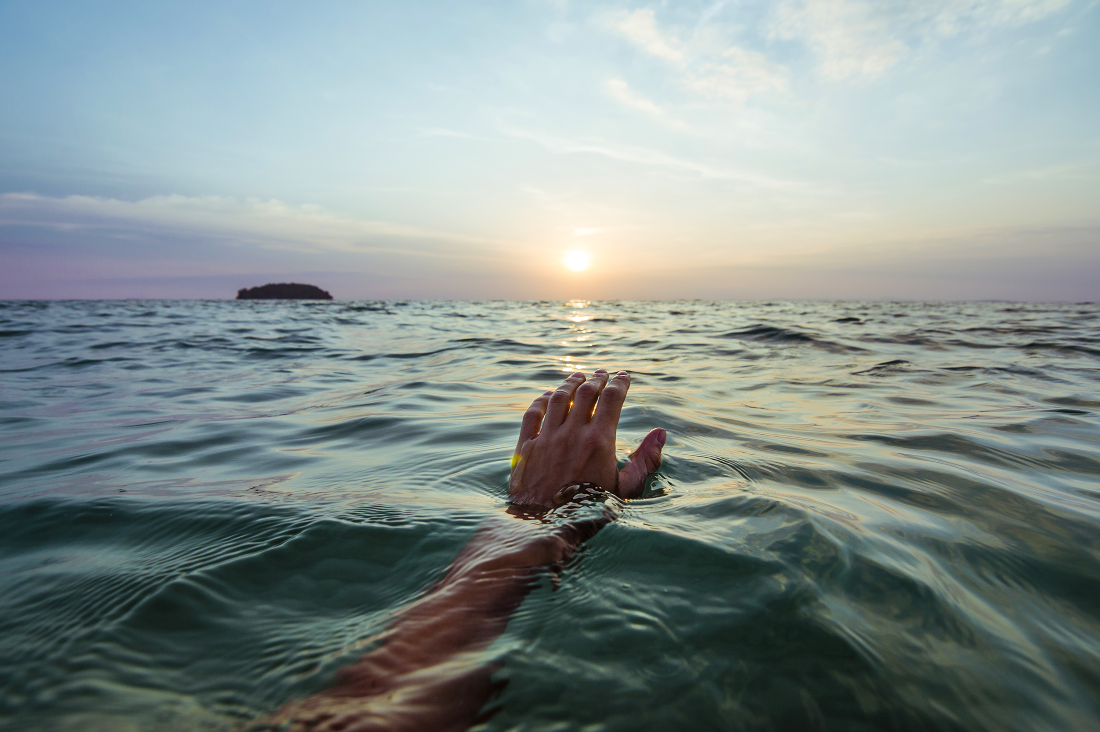 I build wellness brands. The 7 habits that actually work are free