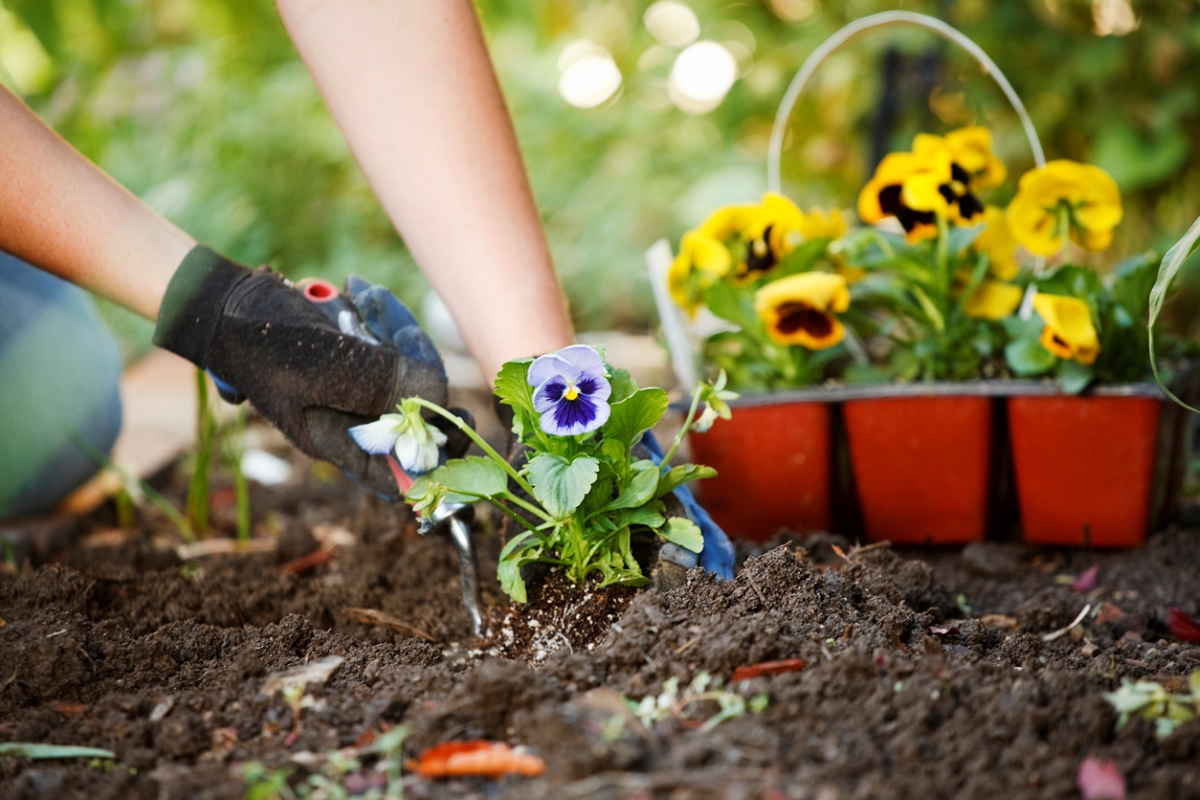 Photo: iStock