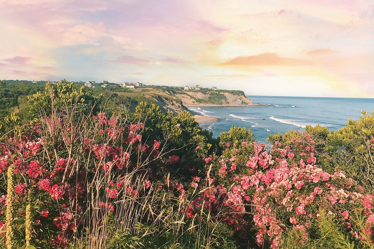 Views of flowers and seashore on Block Island, Rhode Island
