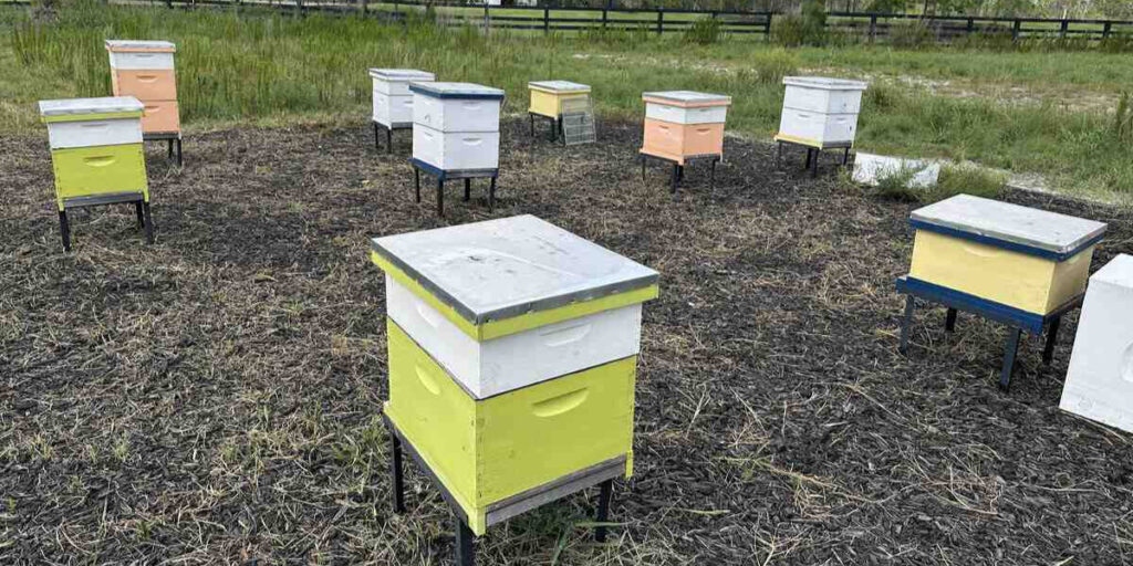 Colourful beehive boxes arranged in a field at The Farm at Newfield in Palm City, Florida.