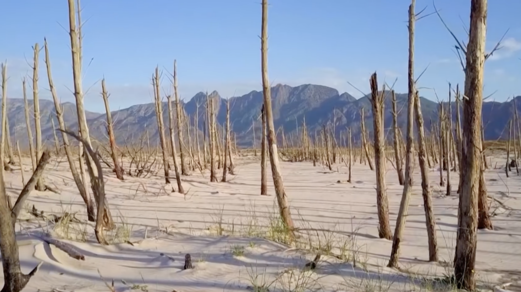Scientists Have a Risky Plan to Wake Up Volcanoes to Cool the Planet