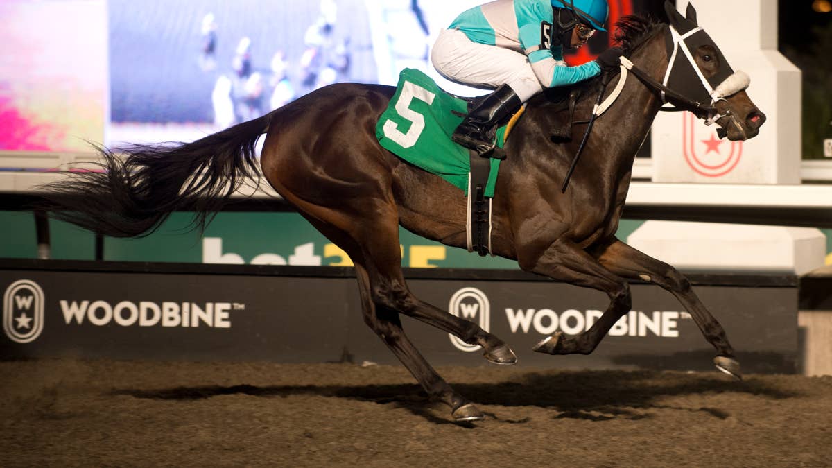 American Women Tries To Make The Grade In Hendrie Stakes