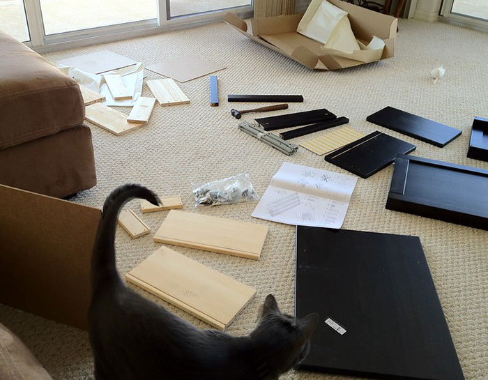 Workplace Absurdities: 36 Stories About The Frustrations Employees Faced