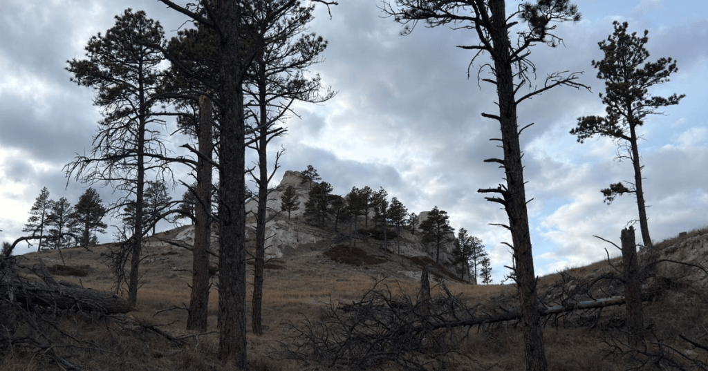 Pine trees framing a rocky hill under a cloudy sky at Devil's Den hiking trail in Nebraska.