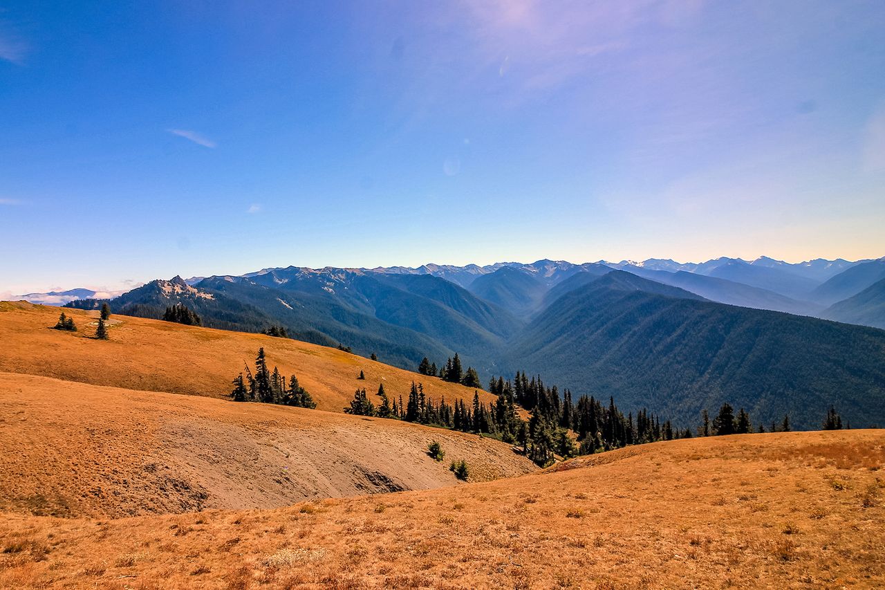 View of mountains and valleys from Hurricane Ridge in Olympic National Park