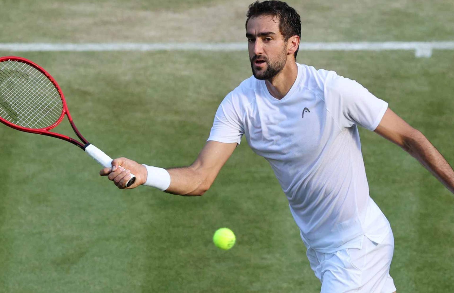 Marin Cilic