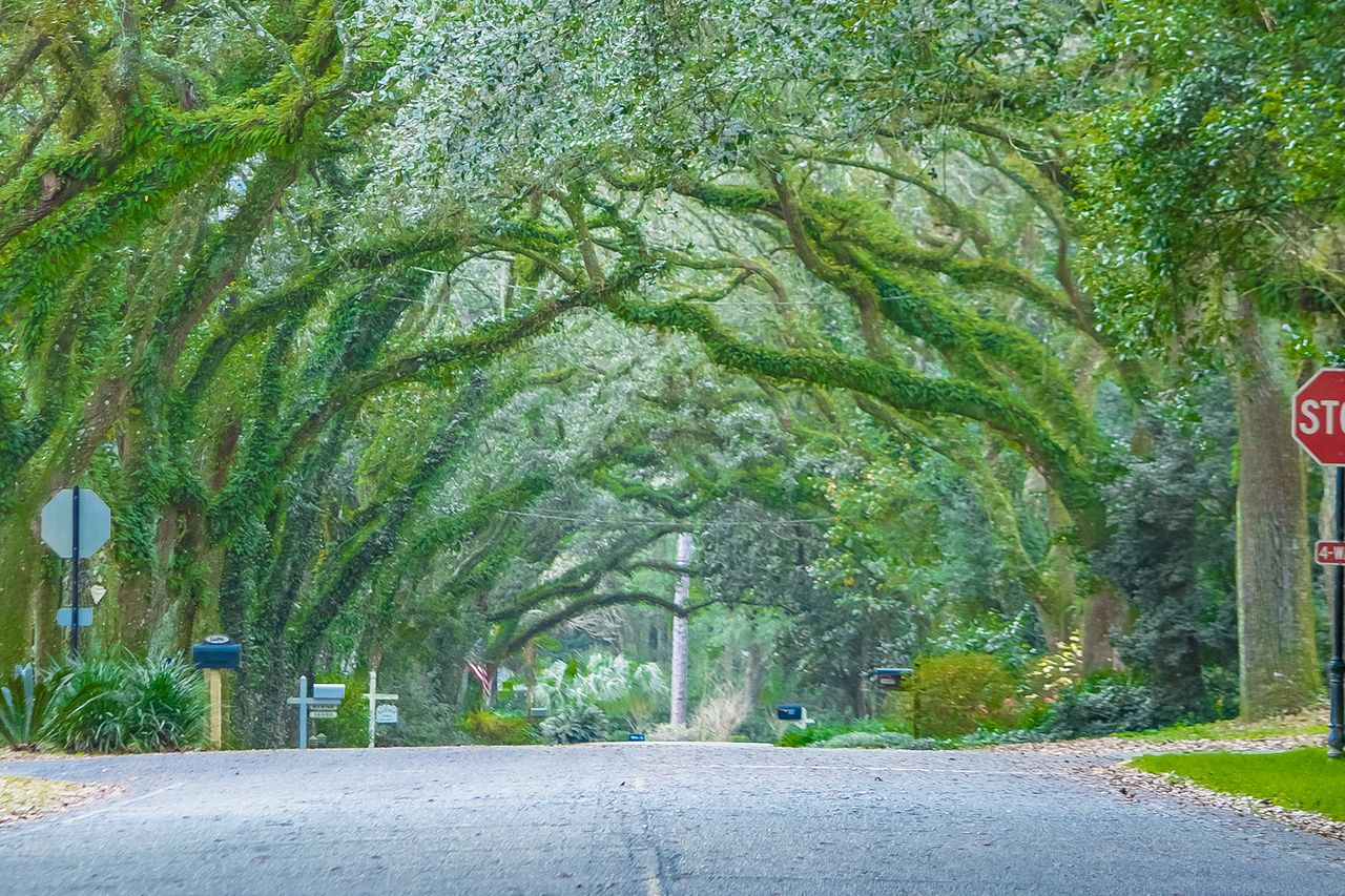 A view down Oak Street in Magnolia Springs, Alabama
