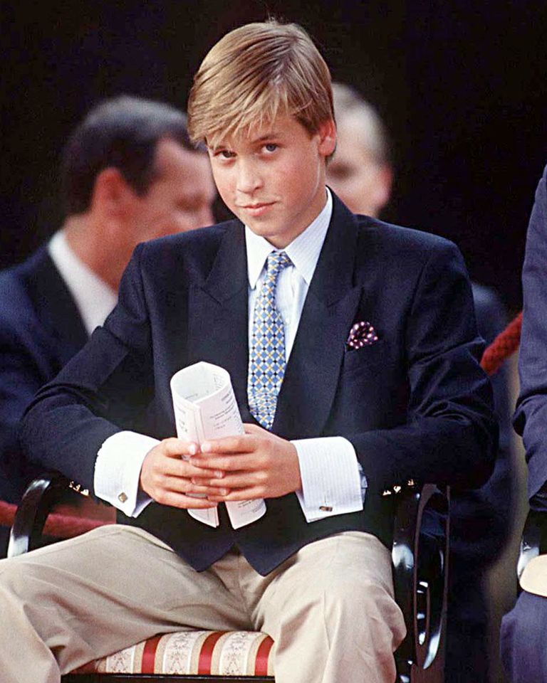 Prince William Watching The Parade Of Veterans On V J Day, The Mall, London.