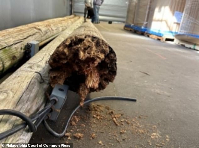 The lawsuit claims that the School District of Philadelphia 'knew or should have known of the dangerous condition of the subject pole'