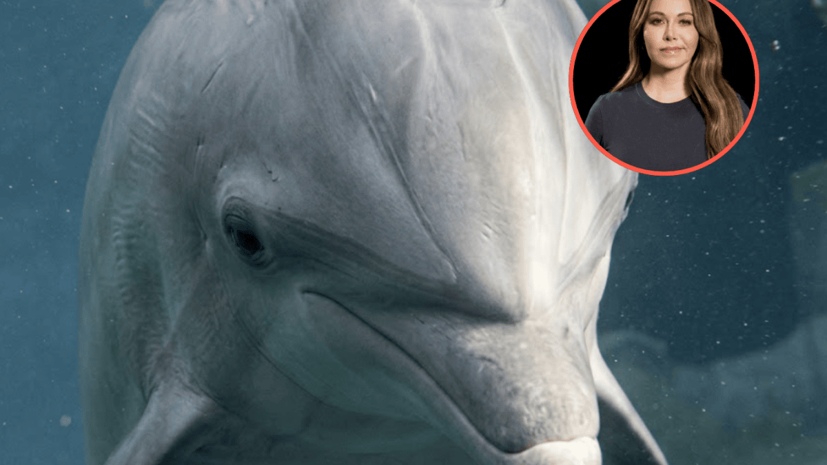 Chiquis Rivera leads PETA campaign against SeaWorld; calls for the release of Ripley the dolphin