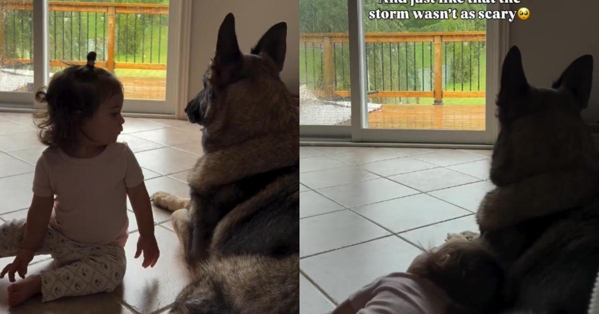 After toddler senses dog is afraid of the rain, she makes the sweetest gesture